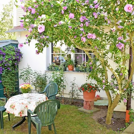 Ferienhaus Familie Teetz Apartment Goehren (Ruegen)